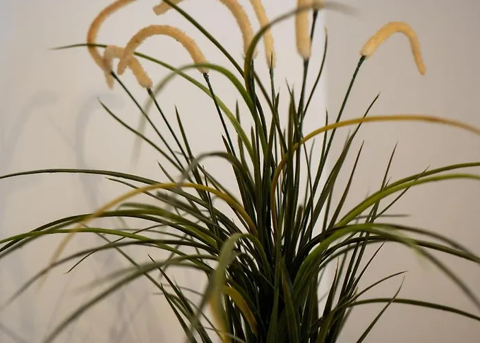 Skymare Lvh アパート メーリッハ